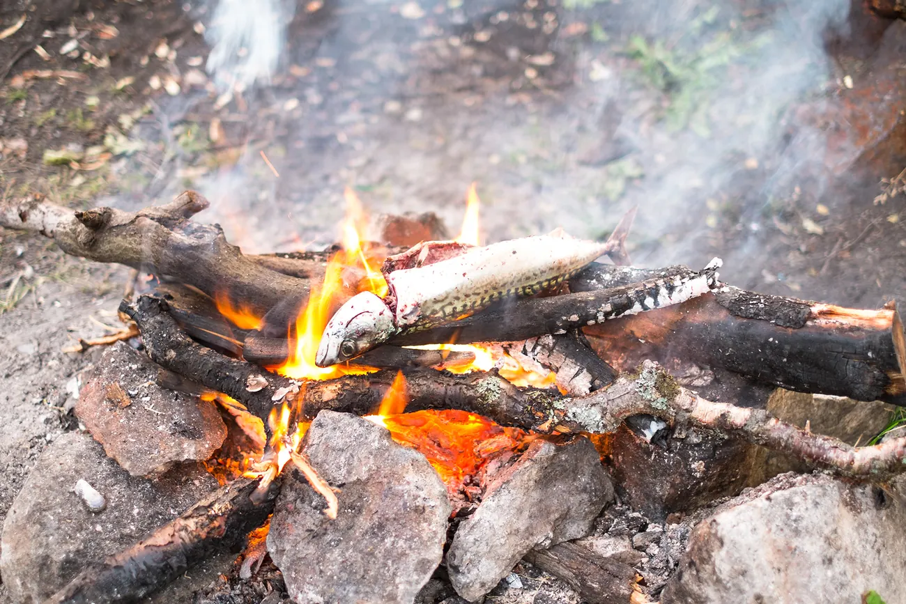 Feu de bois du premier bivouac, en Norvège
